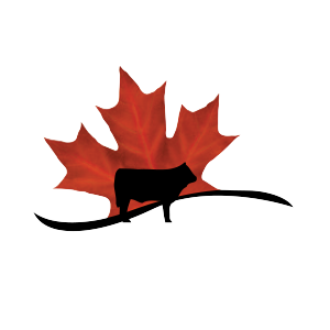 canadian-beef